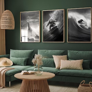 Djur Surfing Set med tre Tryck - 3 Roliga Fotografier - Fotoposter Väggkonst Present Giclée - Rolig Giraff, Sengångare Surfbräda, Elefant