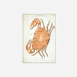 シドニー・ホール - ウラニアの鏡 - 蟹座（1825）絵画 写真 ポスター プリント アート ギフト 星座 蟹 甲殻類
