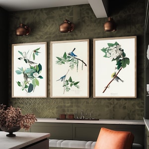 May include: Three framed botanical and ornithological prints displayed on a wall. Each print features detailed illustrations of birds perched on flowering branches with white blossoms and green leaves, set against a cream-colored background.