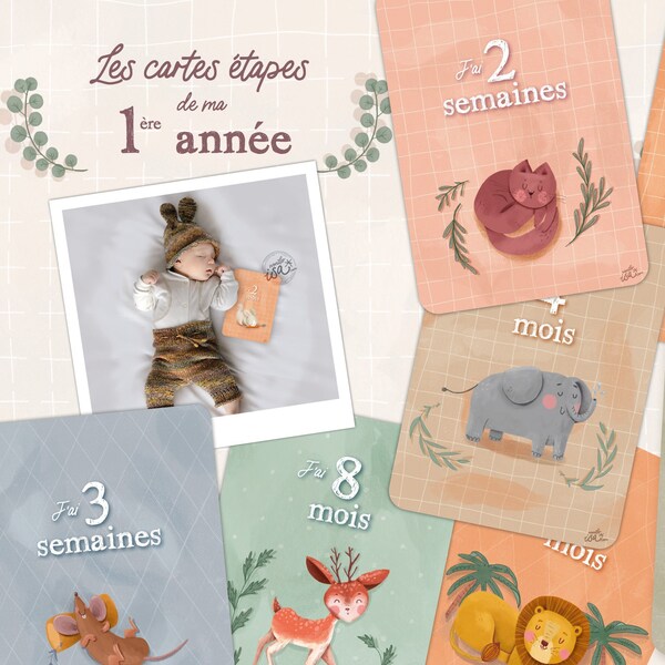 Cartes étapes bébé animaux, format carte postale (A6)