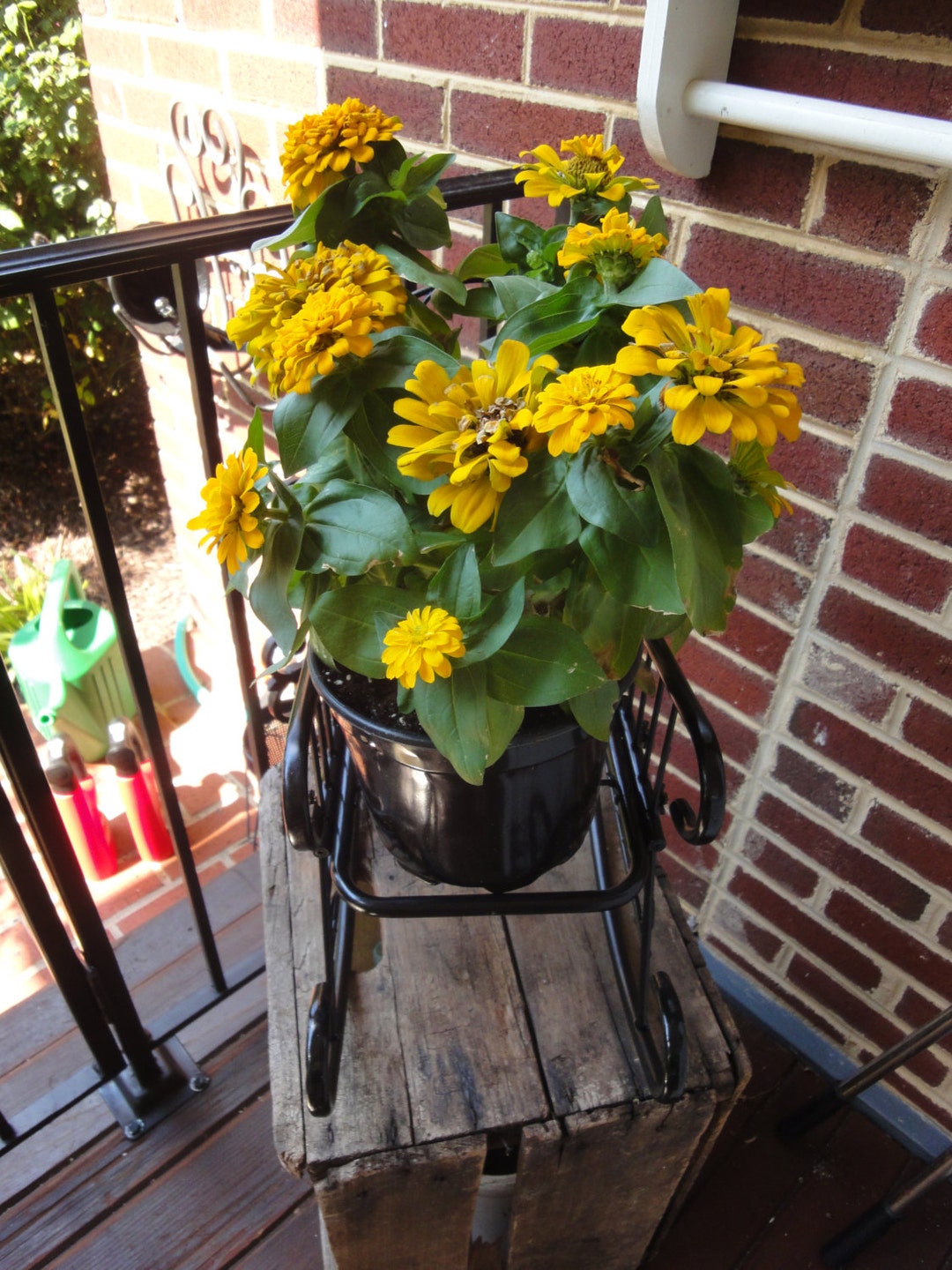 Vintage Iron Doll Rocking Chair Plant Holder/vintage Home Decor Plant