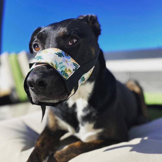 Adjustable boxer muzzle online