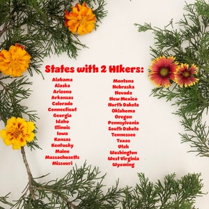 Pick your STATE HIKER Ornament made from Raw Steel Sustainable Gift Adventure Trails Mountain Number of hiker cutouts is NOT an option image 3