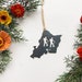 see more listings in the State Hiker Ornaments section