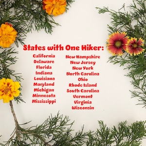 Pick your STATE HIKER Ornament made from Raw Steel Sustainable Gift Adventure Trails Mountain Number of hiker cutouts is NOT an option image 4