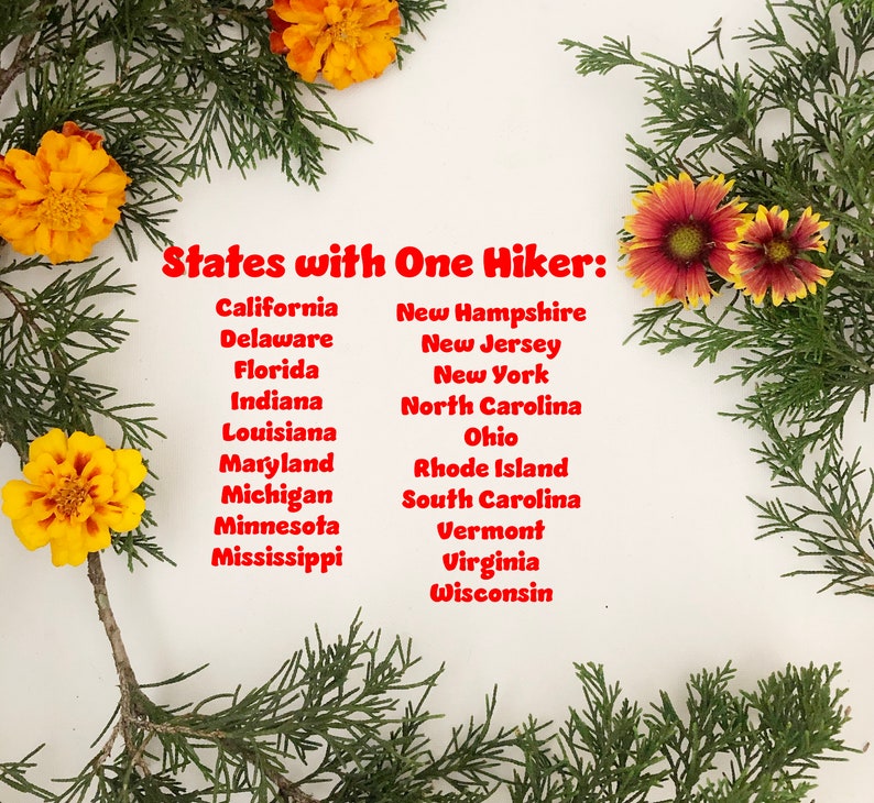 Pick your STATE HIKER Ornament made from Raw Steel Sustainable Gift Adventure Trails Mountain Number of hiker cutouts is NOT an option Bild 4