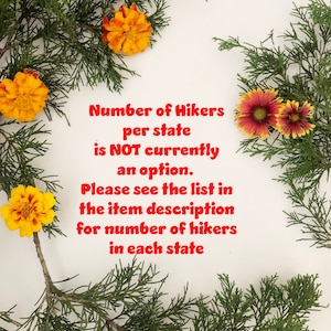 Pick your STATE HIKER Ornament made from Raw Steel Sustainable Gift Adventure Trails Mountain Number of hiker cutouts is NOT an option Bild 2