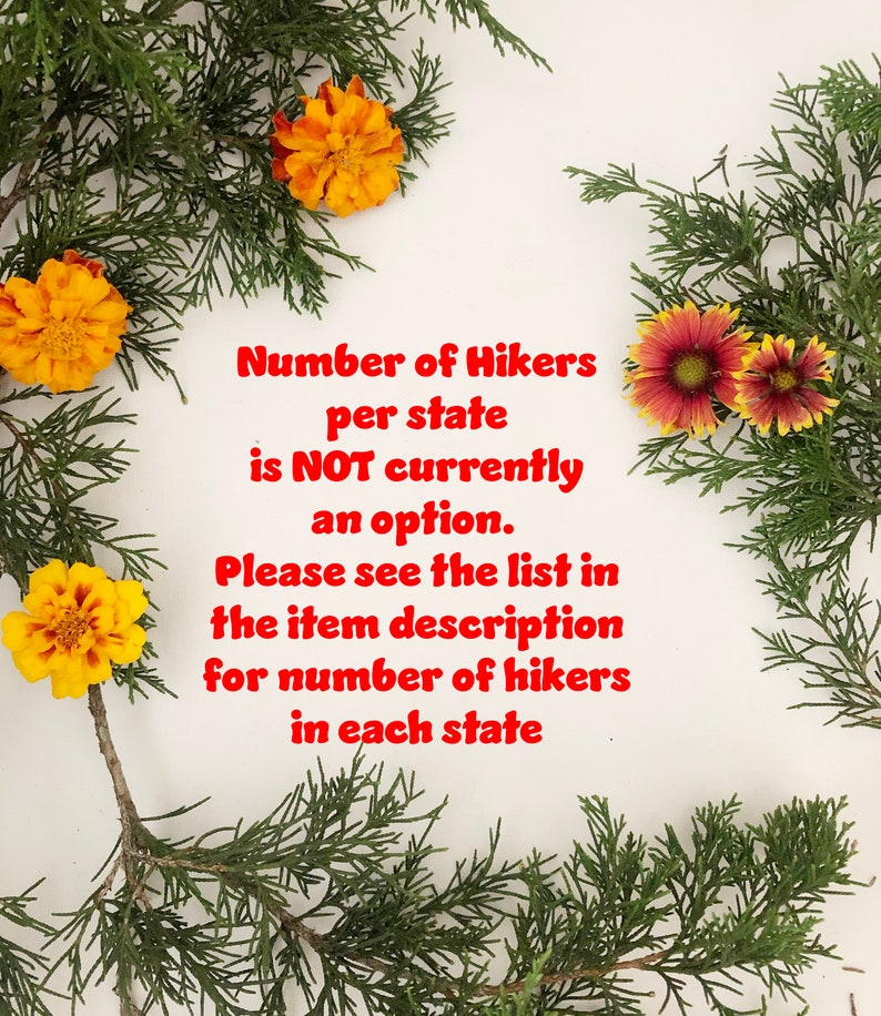 Pick your STATE HIKER Ornament made from Raw Steel Sustainable Gift Adventure Trails Mountain Number of hiker cutouts is NOT an option Bild 2