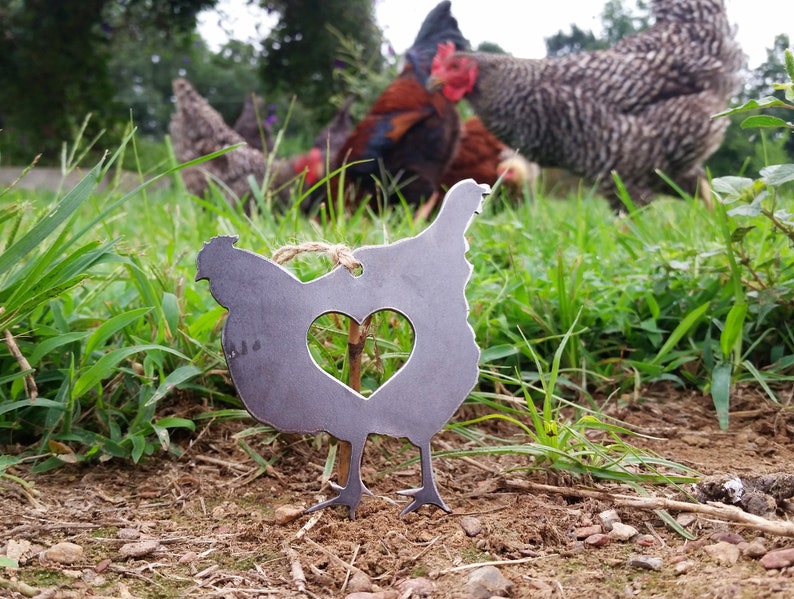 Chicken Hen Ornament with Heart made from Recycled Raw Steel Rustic Farmhouse Decor Farm Barn Homestead Farmstead Fresh Eggs Farm to Table image 5