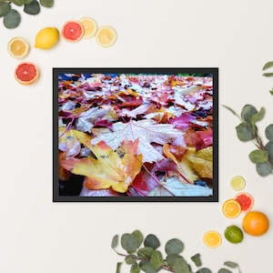 Dew Drops on Autumn Leaves Photography Print - Fall and Autumn Leaves - Nature Photography Print for Home or Office - (Frame Not Included)