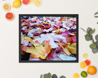 Gotas de rocío en hojas de otoño Impresión fotográfica - Hojas de otoño y otoño - Impresión de fotografía de naturaleza para el hogar u oficina - (Marco no incluido)