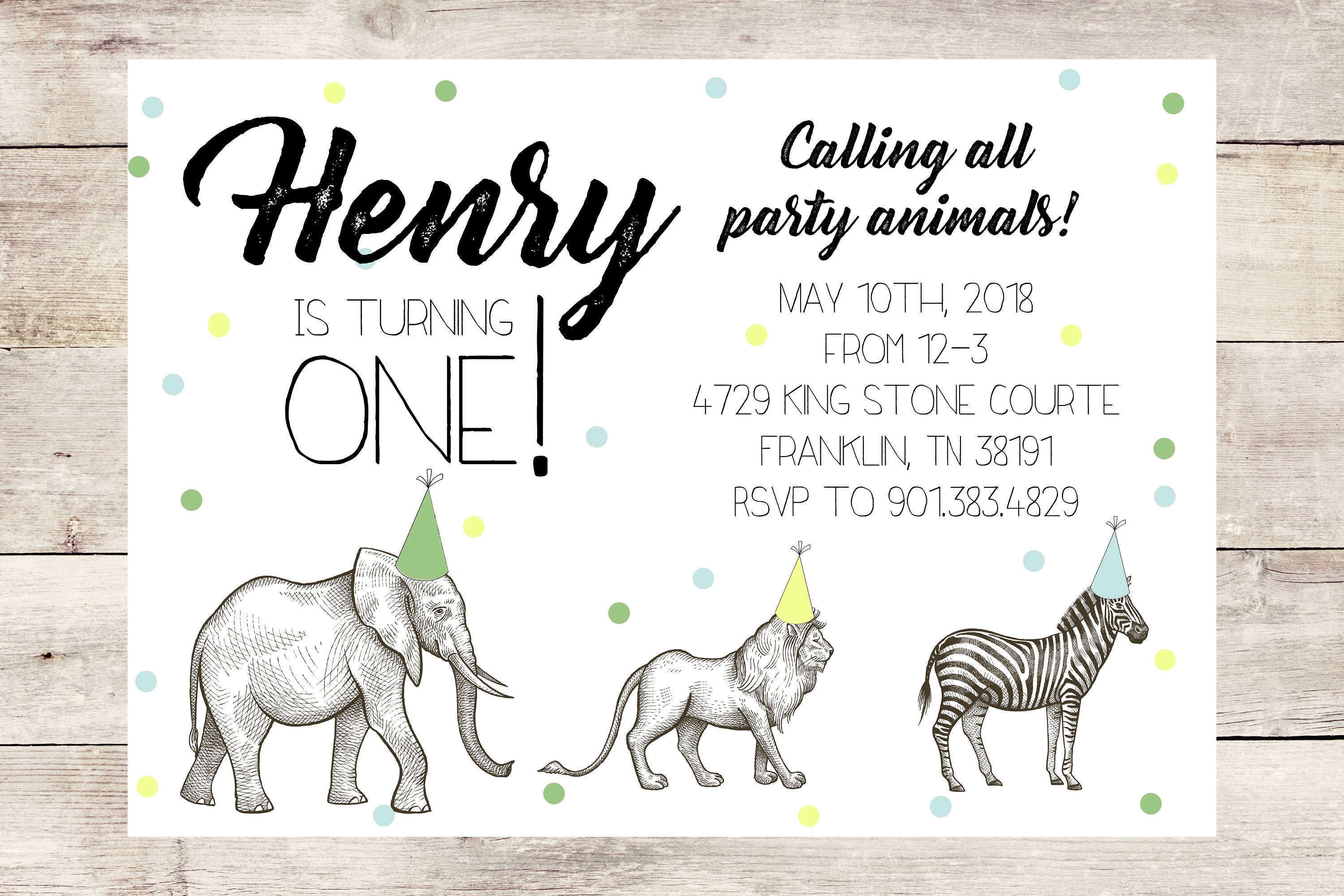 Zoo Animal Birthday Party Invitation Etsy