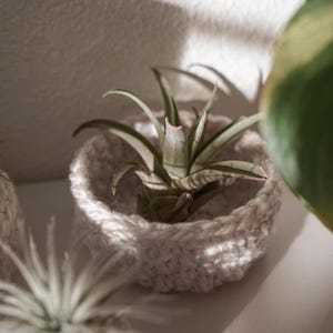 NOLAN - Crochet Basket Pattern for Air Plants - 3 Sizes, Basket for Knick Knack,  PDF Download