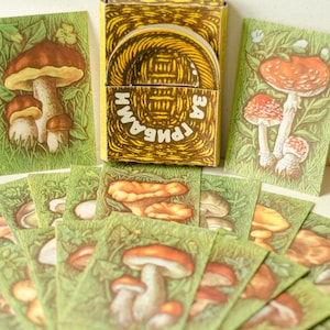 Paquete de postales CAZA DE SETAS, conjunto de impresiones botánicas, impresión de setas vintage para scrapbooking
