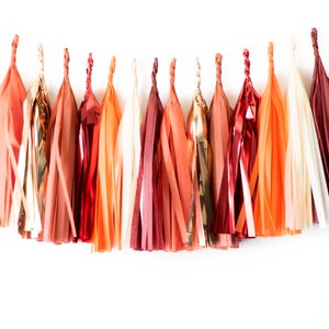 May include: A garland of tissue paper tassels in shades of red, orange, and gold. The tassels are strung together on a white string and hang down in a row.