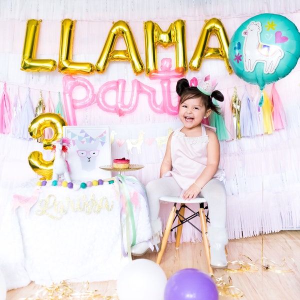 LLAMA BALLOON PARTY Box | LLama Paper Tassels, Lllama Balloon, Birthday, Bedroom Deco, Unicorn Party, Magical Party, Rainbow Party Pink