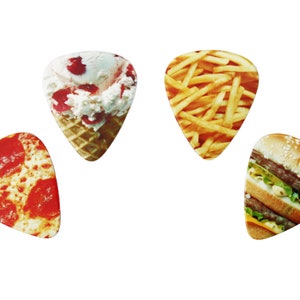 4 JUNK FOOD guitar picks, Custom Guitar Pick, Custom Guitar Picks, Personalized Guitar Pick