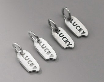 2 Pcs 925 Sterling Silver Lucky Pendant Charm Bulk Wholesale 925 Silver Bracelet Necklace Lucky Charm Bead For Jewelry Making Y484