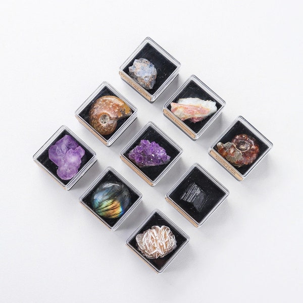 Crystal Specimen Collection Box Sets 9 Pcs Gemstone Mineral Specimen Collection Gift Box Children's Gift 3653