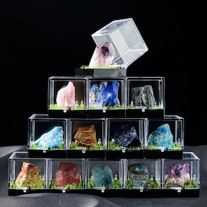 Display Cases with Various Minerals, Set of 4 for sale at Pamono