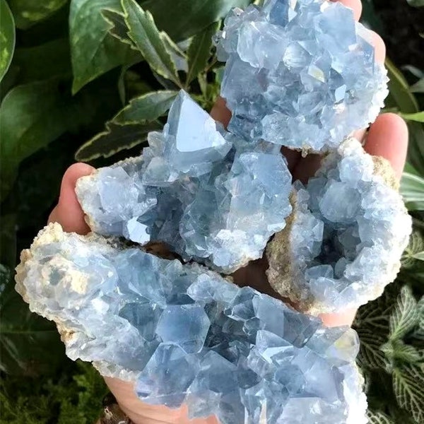 Celestite Cluster Raw Celestite Cluster Geode Celestite Crystal Cluster Geode Blue Celestite geode Healing Crystals Stones 3084