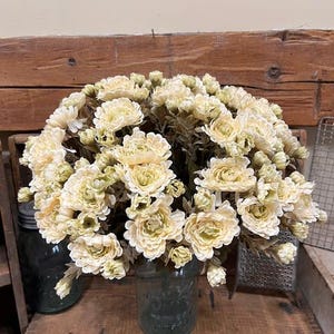 May include: A dense bouquet of cream-colored artificial carnations with subtle green-tinted centers and edges. The flowers feature layered, ruffled petals and are arranged in a clear glass jar with embossed lettering on the front surface.