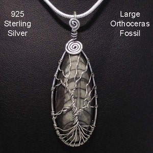 Stunning Tree of Life Necklace Pendant Featuring a Large Othoceras Fossil Artisan Crafted in 925 Sterling Silver Tree of Life Pendant 076 image 2