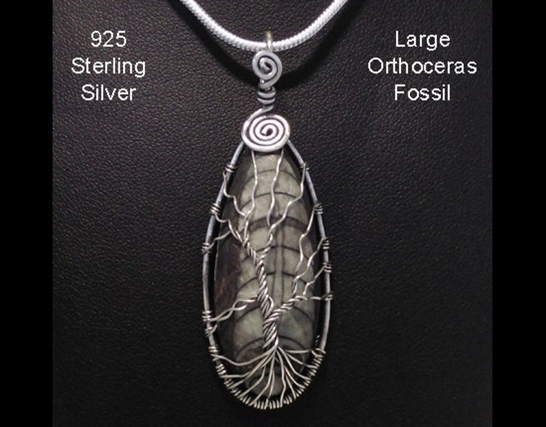 Stunning Tree of Life Necklace Pendant Featuring a Large Othoceras Fossil Artisan Crafted in 925 Sterling Silver Tree of Life Pendant 076 image 2