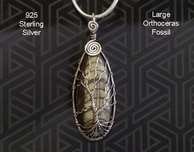 Stunning Tree of Life Necklace Pendant Featuring a Large Othoceras Fossil Artisan Crafted in 925 Sterling Silver Tree of Life Pendant 076 image 1