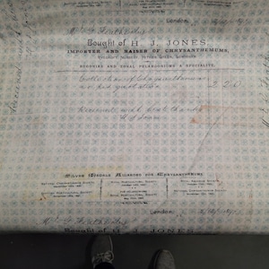 以下が含まれることがあります： H.J. Jonesの古い領収書。キクの輸入業者兼栽培者で、「Begonias and Zonal Pelargoniums a Specialite」などのテキストが含まれています。この文書は、薄い青色の花柄で、1895年2月12日の日付が入っています。