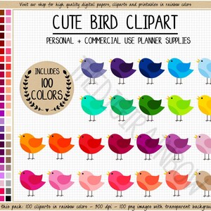 VERKOOP 100 VOGEL clipart afdrukbare Erin Condren vogel planner stickers regenboog clipart grillige dierlijke illustraties vogel silhouet helder pastel afbeelding 1