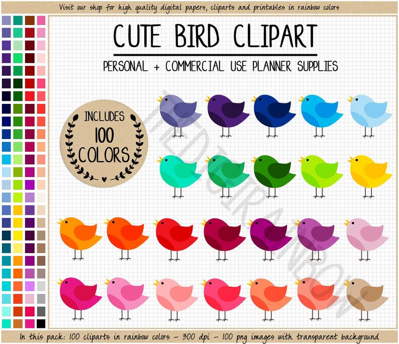 VERKOOP 100 VOGEL clipart afdrukbare Erin Condren vogel planner stickers regenboog clipart grillige dierlijke illustraties vogel silhouet helder pastel afbeelding 1