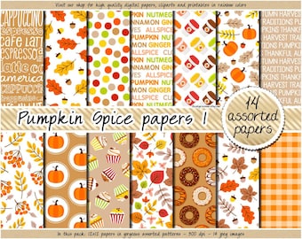 OFERTA Papel digital de otoño Papel digital de especias de calabaza Papel digital de Acción de Gracias Scrapbooking de otoño rojo verde amarillo marrón naranja otoño clipart