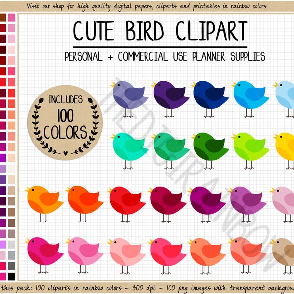 SALE 100 BIRD clipart printable Erin Condren bird planner stickers rainbow clipart whimsical animal clip art bird silhouette bright pastel