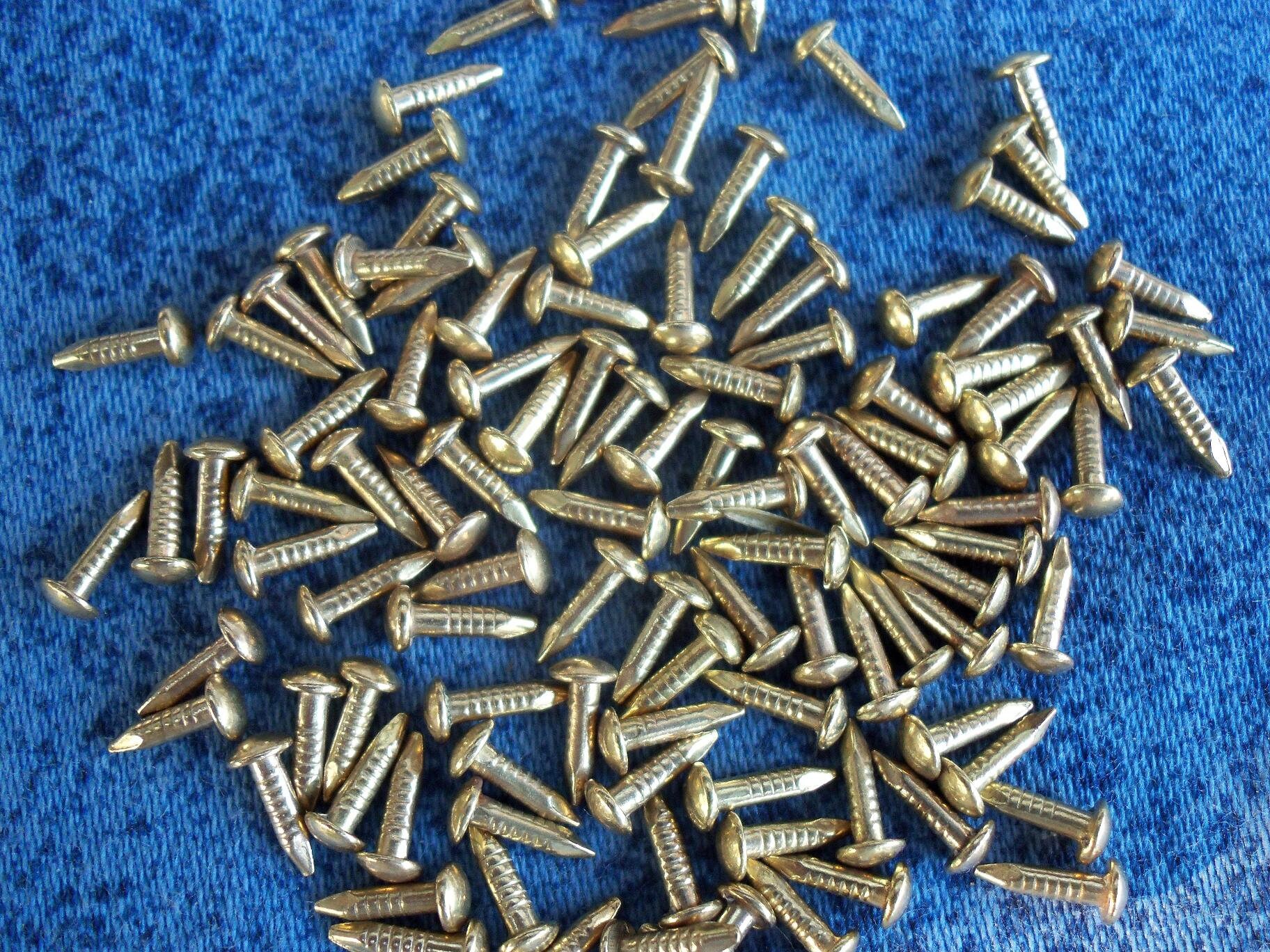 100pcs Decorative Small Metal Nails 12 Mm X 6mm Color Gold Etsy Australia