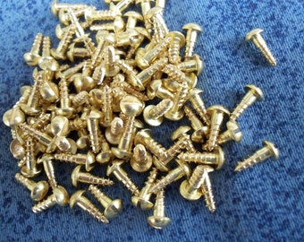 Miniature Hardware Parts Pack Small 2,5x8 mm solid brass wood screws with slotted round head.