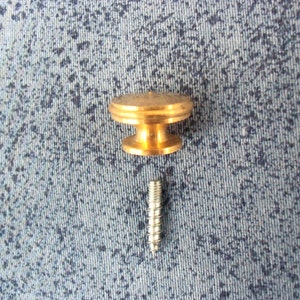 May include: A gold-colored metal knob with a screw. The knob has a round top and a cylindrical base.