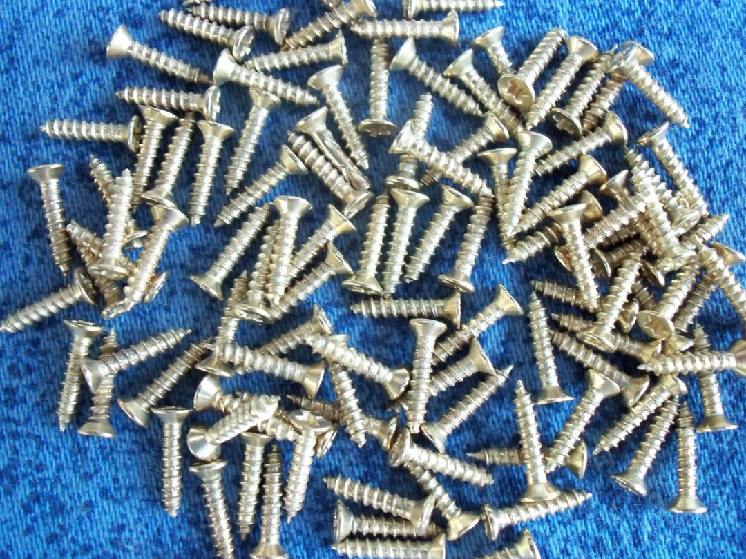 Miniature Hardware Parts Pack of 100 Small 2mm X 10mm, Self Tapping