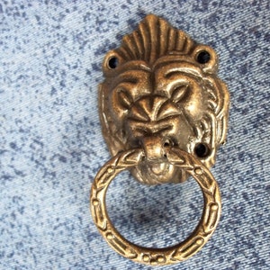 May include: A gold lion head door knocker with a ring pull. The knocker is detailed with a textured surface and has a lion's face with a mane.