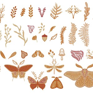May include: A collection of hand-drawn illustrations featuring various botanical elements, including leaves, branches, and flowers, in shades of brown and red. The illustrations also include butterflies and moths with intricate wing patterns.