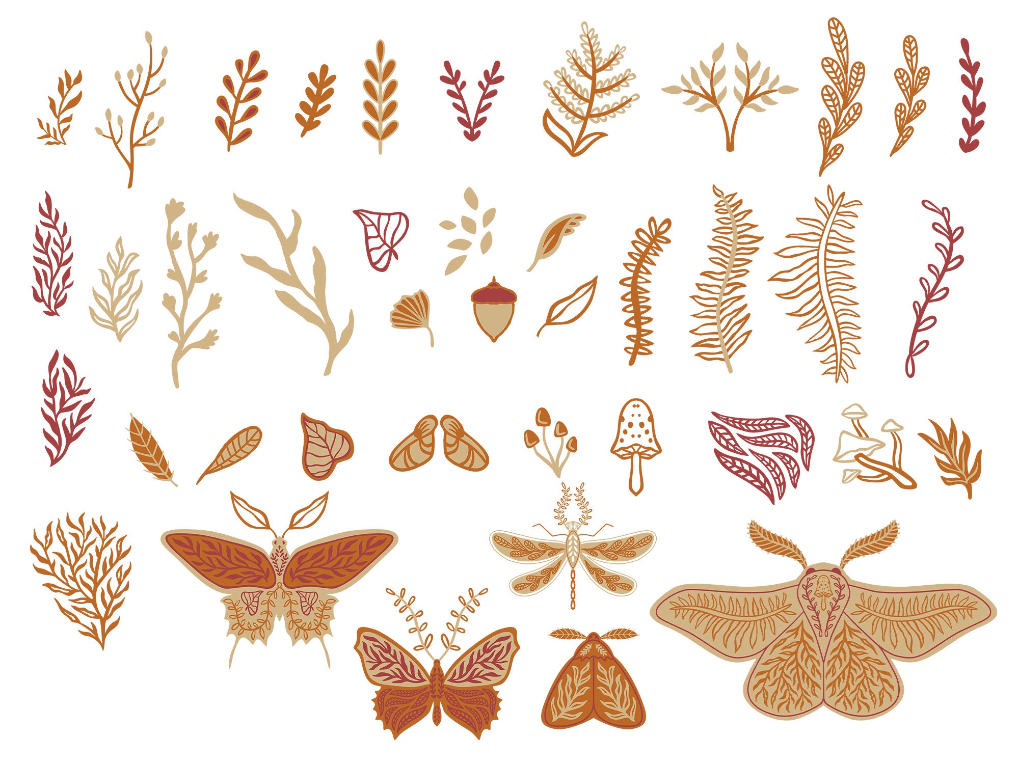 Bug Vector Layers Botanical Bugs Vectors, PNG, JPG, Pattern, Seamless, Clip Art, Folk Art ...