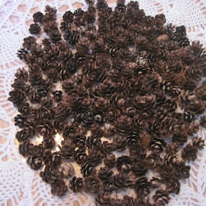 May include: A collection of small, brown pine cones arranged in a circular pattern on a white crocheted tablecloth.