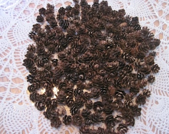 Mini Pine Cones, 200+ Hemlock Cones   Wedding, Christmas, Fall Decor, Woodland, Cabin Rustic Decoration, Crafting, Free Shipping