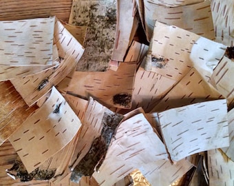 Birch, Gift Tags.  20, Birch Bark pieces, Birch sheets,  Labels, Seat Markers, Weddings, Hang Tags, Free Shipping