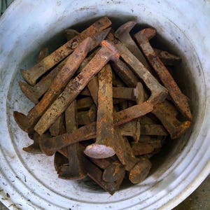 May include: A white bucket filled with a pile of rusty metal railroad spikes. The spikes are arranged in a random pattern and are all different sizes.