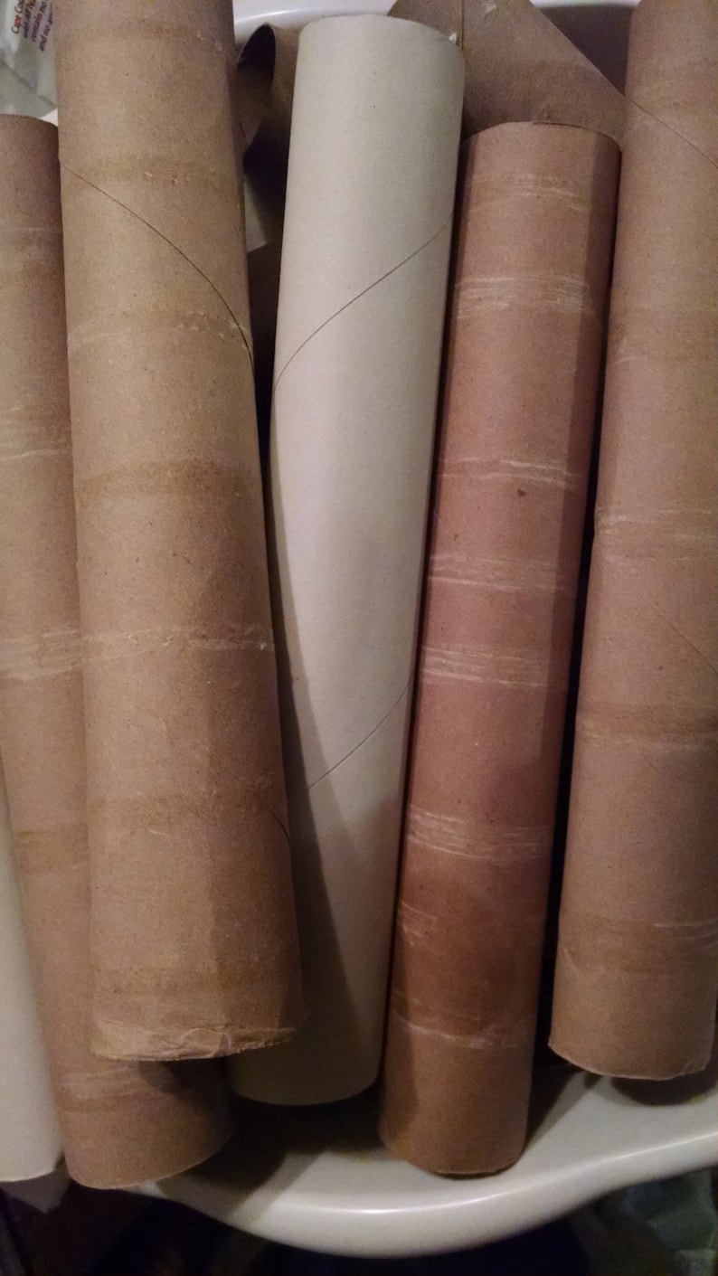 12 Empty Paper Towel Rolls One Dozen Paper Towel Tubes Free Etsy