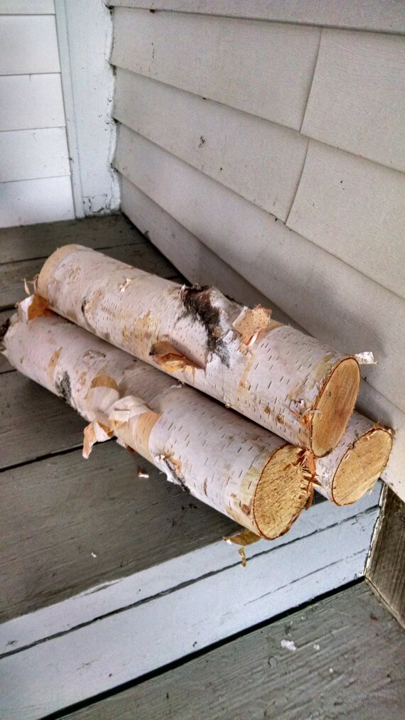 Birch 3 Logs Fire Wood Fireplace Logs Paper Birch Free Etsy