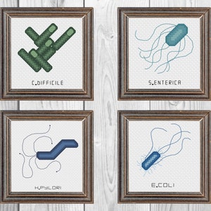 May include: Four square framed cross-stitch artworks featuring scientific illustrations of bacteria. The top left shows green C.DIFFICILE, top right blue S.ENTERICA, bottom left blue H.PYLORI, and bottom right blue E.COLI, each labeled with its name.