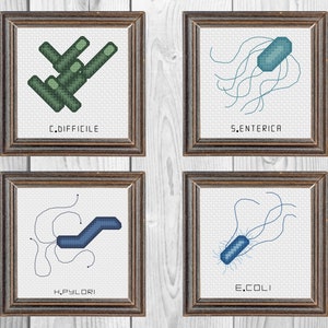 Gastro-intestinale microben Cross Stitch patroon PDF Set