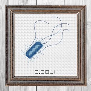 May include: A framed cross-stitch embroidery featuring a blue E. coli bacterium with flagella on a white Aida cloth background. The text E.COLI is stitched in black thread below the central blue organism, all encased in a dark brown wooden frame.